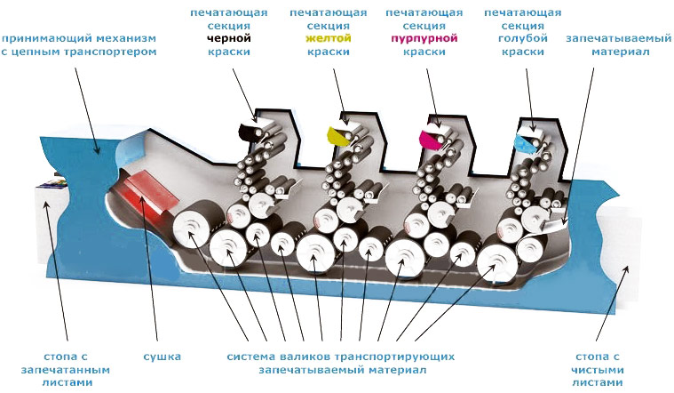 Офсетная печать: многокрасочная печатная машина - схема работы полноцветная офсетная печать
